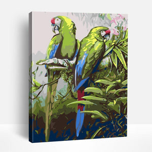 Parrot Pair | Paint By Numbers