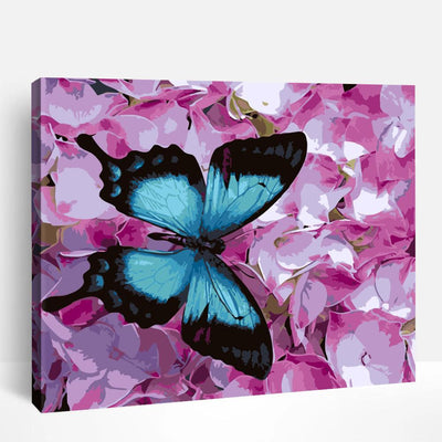 Butterflies | Paint By Numbers