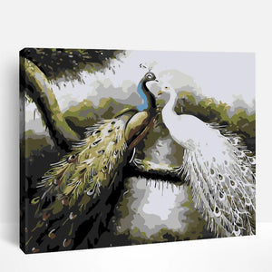 Peacock Love | Paint By Numbers