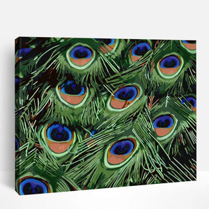 Peacock Feather | Paint By Numbers