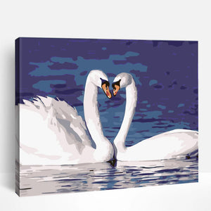 Swans Love | Paint By Numbers