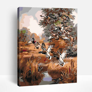 Wild Ducks | Paint By Numbers