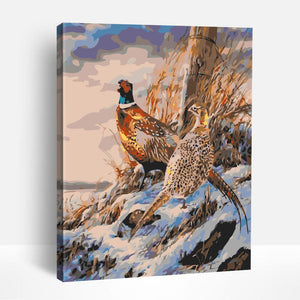 Pheasants | Paint By Numbers