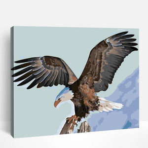 Flying Eagle | Paint By Numbers