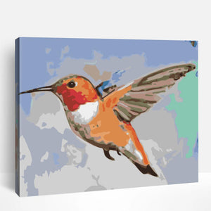 Orange Hummingbird | Paint By Numbers