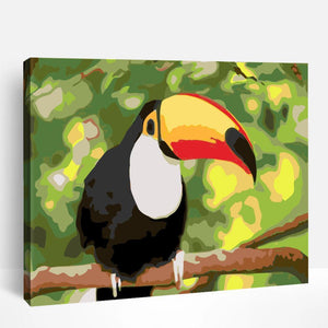 Toucan | Paint By Numbers