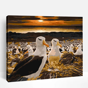 Albatross | Paint By Numbers