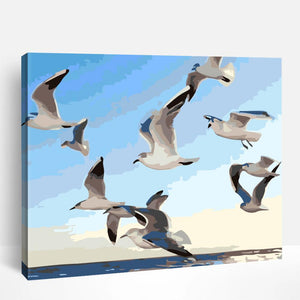 Group of Gulls | Paint By Numbers