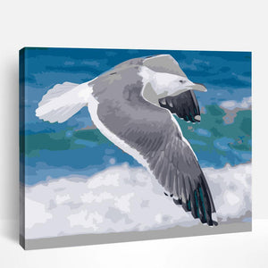 Seagull in Flight | Paint By Numbers