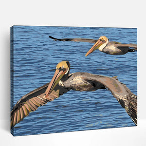 Pelicans in Flight | Paint By Numbers