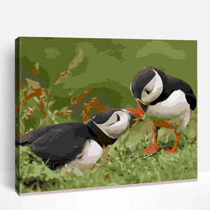 Atlantic Puffins | Paint By Numbers