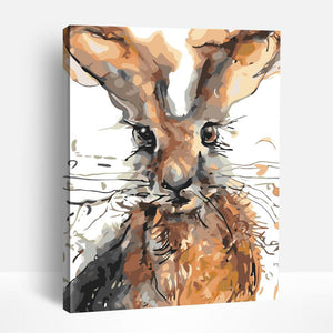 Wild Bunny | Paint By Numbers