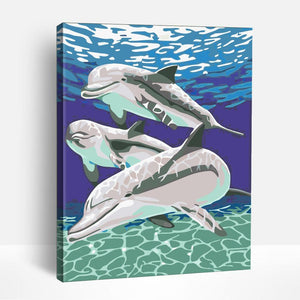 DolphinTrio | Paint By Numbers