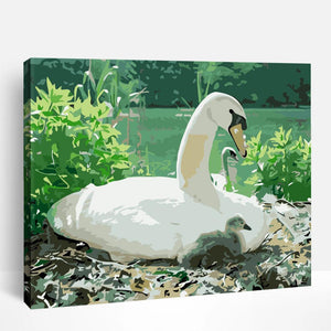 White Swan and Baby | Paint By Numbers