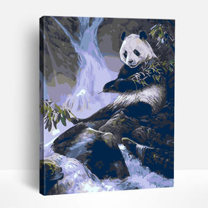Panda in Wild | Paint By Numbers