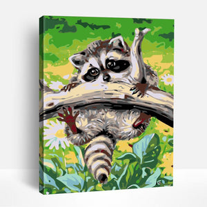 Raccoon Fun | Paint By Numbers