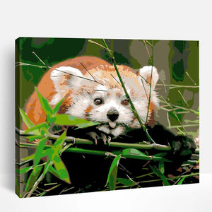 Cute Red Panda | Paint By Numbers