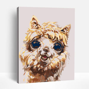 Alpaca | Paint By Numbers