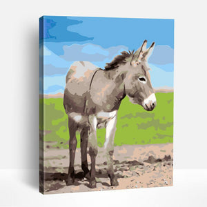 Donkey in Wild | Paint By Numbers
