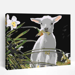 White Baby Goat | Paint By Numbers