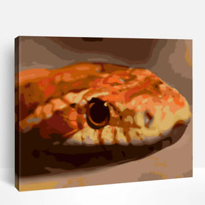 Hognose Snake | Paint By Numbers