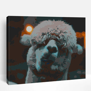 Alpaca Gaze | Paint By Numbers