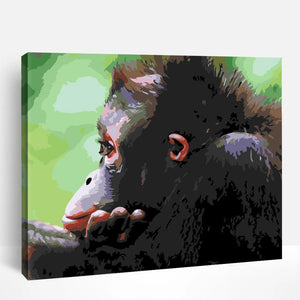 Monkey | Paint By Numbers