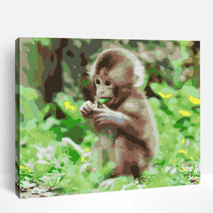 Baby Monkey | Paint By Numbers