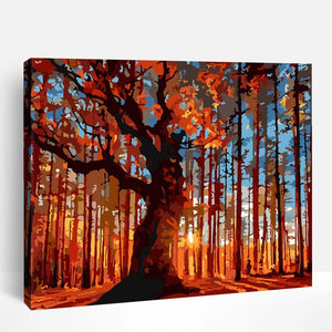 Autumn Forests | Paint By Numbers